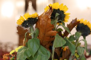 Vítání občánků ČB - 14.říjen 2025 - 1.skupina