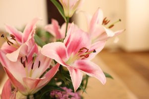 Vítání občánků ČB - 14.duben 2026 - 1. skupina