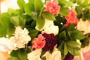 Vítání občánků ČB - 14.duben 2026 - 3. skupina